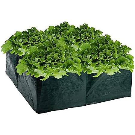 Agfabric Fabric Raised Garden Bed Square Plant Grow Bags Rectangular  Planting Container 8 Grids Black 60 gal 1PCS GB0204P1G60B - The Home Depot