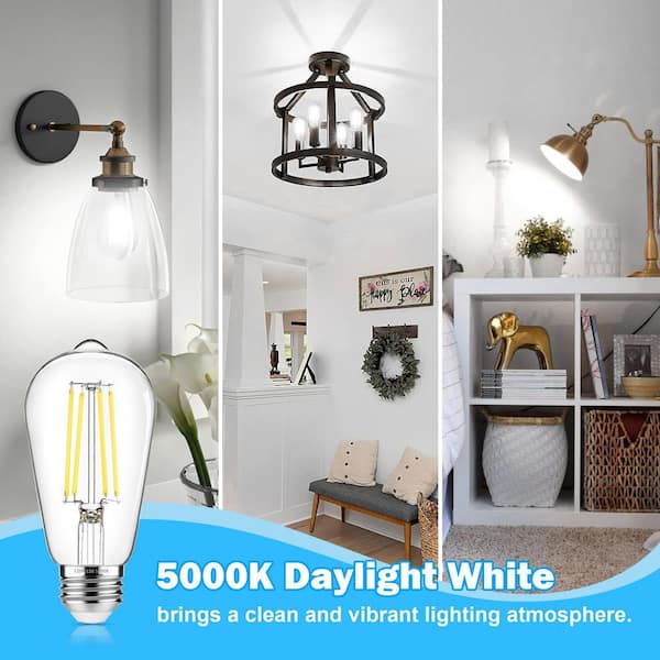 Vrbgify 60-Watt Equivalent ST58 Non-Dimmable Vintage Edison LED