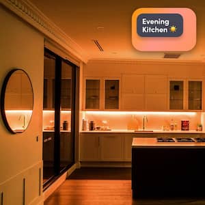 120 in. Multi-Color Smart Wi-Fi LED Strip Light Kit, Works with Alexa/Hey Google/HomeKit/Siri