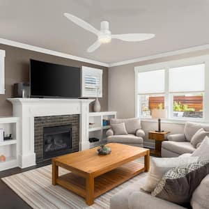 Xander 52 in. Color Changing Integrated LED Indoor White 10-Speed DC Ceiling Fan with Light Kit and Remote Control