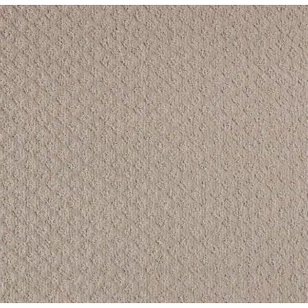 Home Decorators Collection 8 in. x 8 in. Pattern Carpet Sample - Bradlow - Color Library