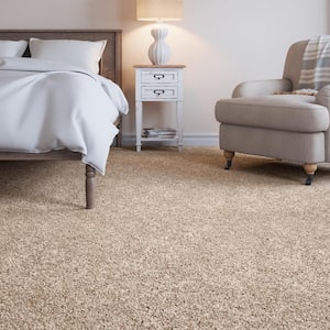 8 in. x 8 in. Texture Carpet Sample - Gemini II Color -Color Artisan Hue