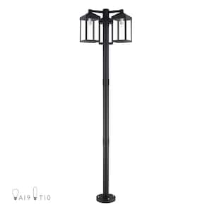 Nyack 3-Light Black Cast Brass Hardwired Outdoor Rust Resistant Post Light Set with No Bulbs Included