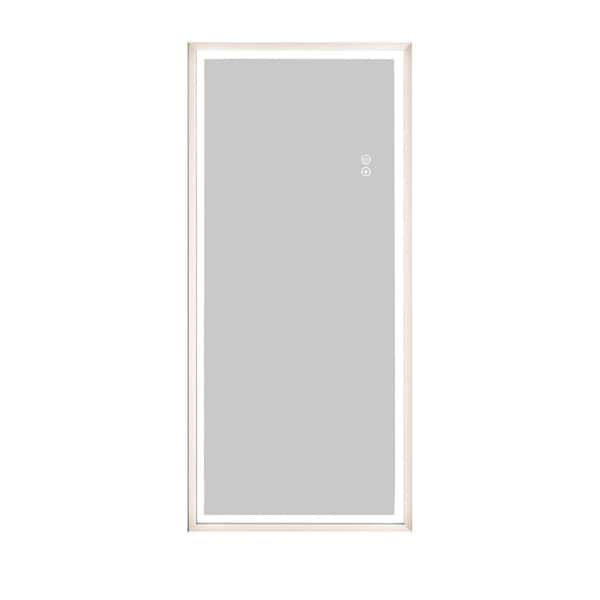 Unbranded 22 in. W x 48 in. H Modern Brown Solid Frame Full-Length Mirror Glass mirror Aluminum Profile Floor Mounted With LED