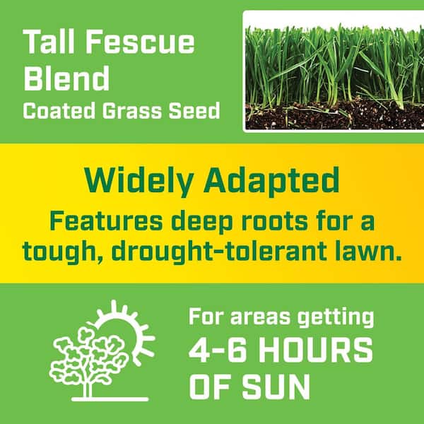 20 lbs. Tall Fescue Grass Seed Blend
