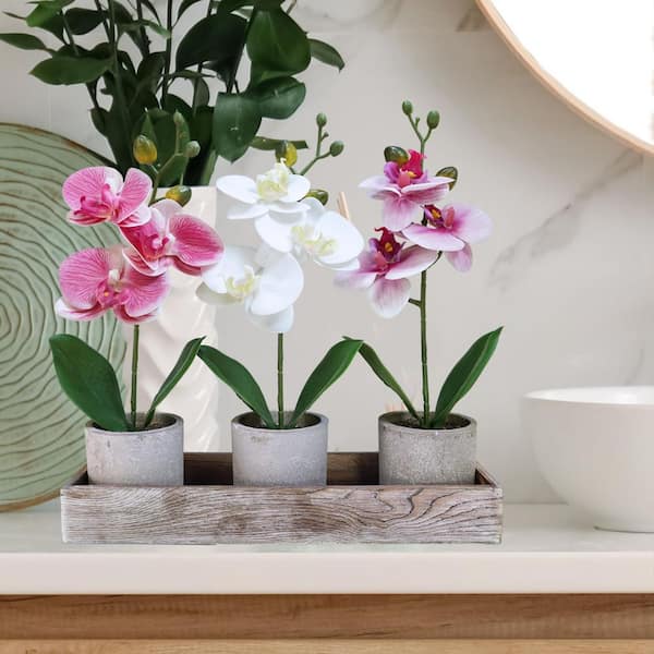 Artificial Orchid Potted Plant Arrangement 13.5 in. H x 14 in. W Faux  Phalaenopsis Set Real Touch Indoor Decor (Set) OE046PH033 - The Home Depot