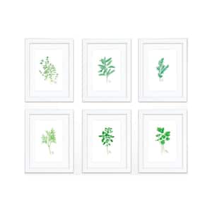 "Nature's Lace 2" by Alyssa Lewis Set of Six White Framed with Mat Nature Art Prints 14 in. x 11 in.