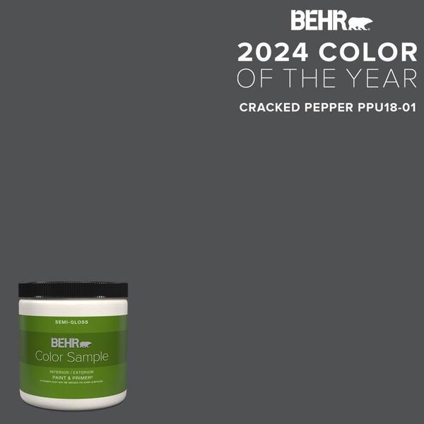 BEHR PREMIUM PLUS 8 Oz. #PPU18-01 Cracked Pepper Semi-Gloss Interior ...