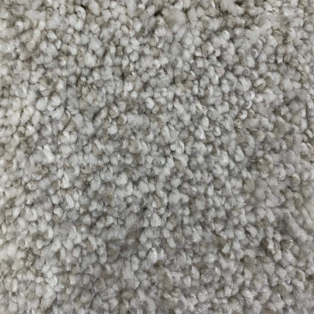 8 in. x 8 in. Texture Carpet Sample - Hazelton II - Color Famed price history on PriceWatchPro