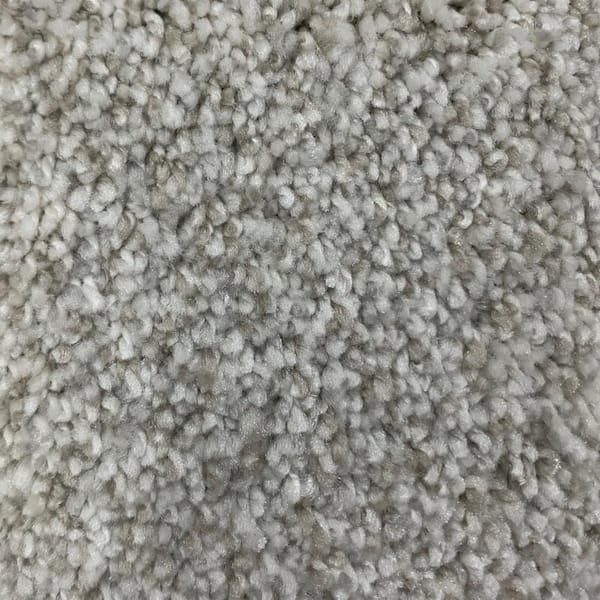 Lifeproof 8 in. x 8 in. Texture Carpet Sample - Hazelton II - Color Famed