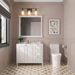 1-Piece 1.1/1.6 GPF Dual Flush Comfort Height Elongated Toilet in White Map 1000g, Soft Close Seat Include