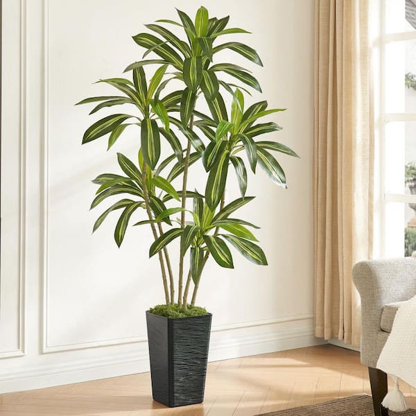6 ft. Artificial Dracaena Tree in Black Planter Realistic Indoor Faux Yucca  Plant for Home Office Decor 59B1124C2146 - The Home Depot