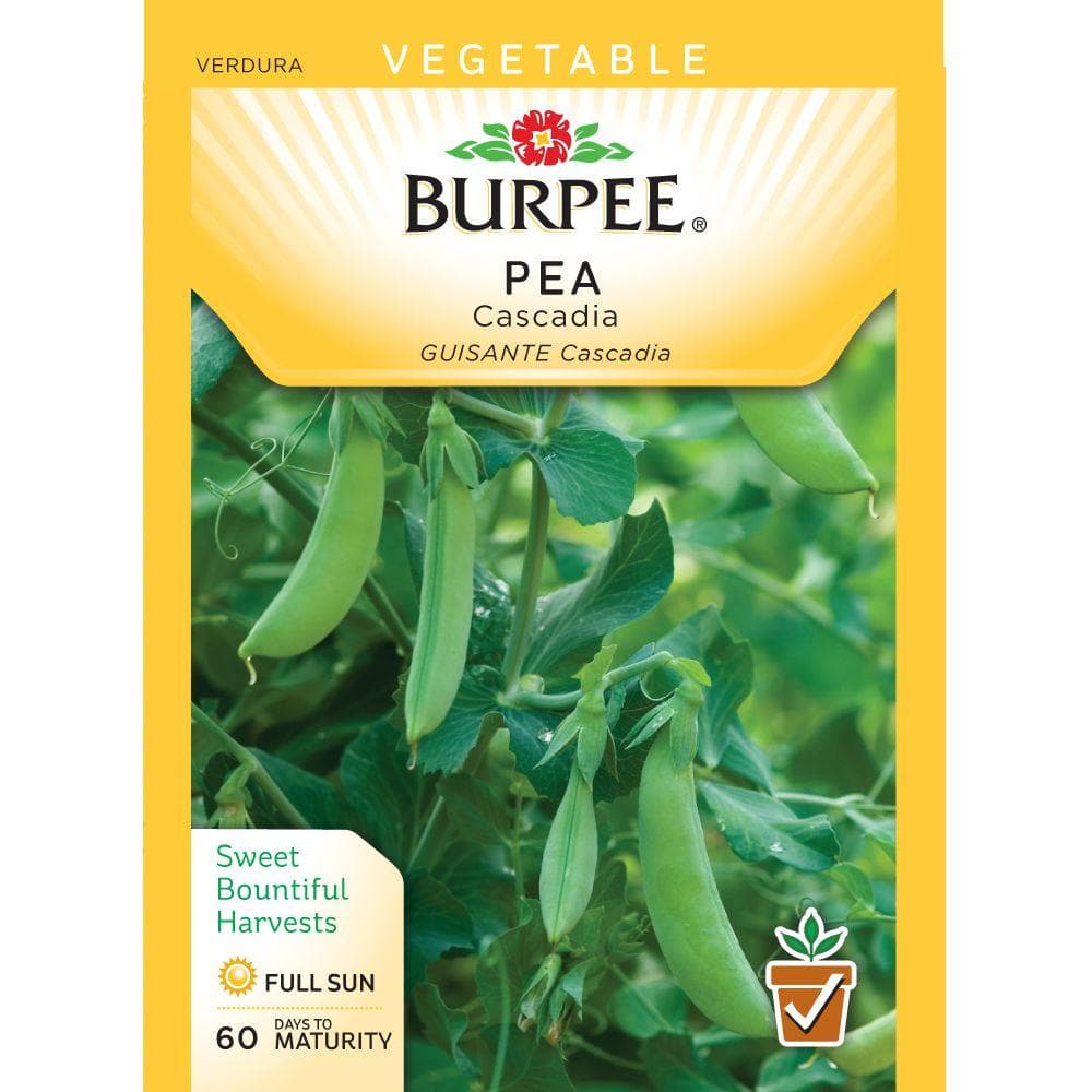 Burpee Pea Snow Cascadia WP Seed 68052 - The Home Depot