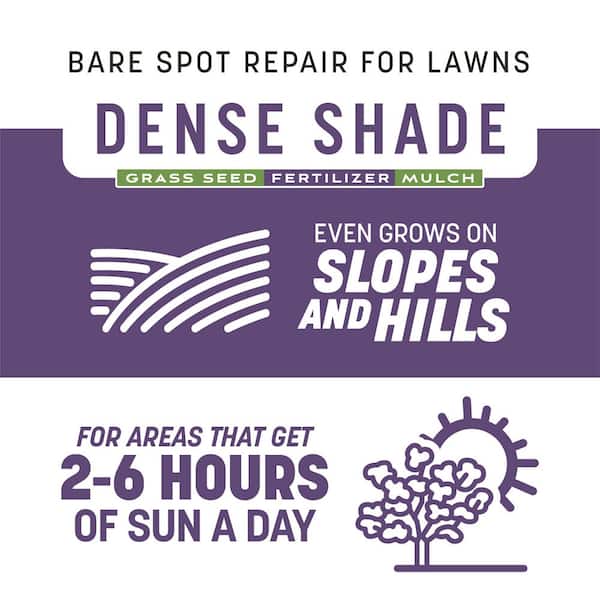 Smart Patch Dense Shade 5 lb. 100 sq. ft. Grass Seed Bare Spot Repair with Mulch and Fertilizer