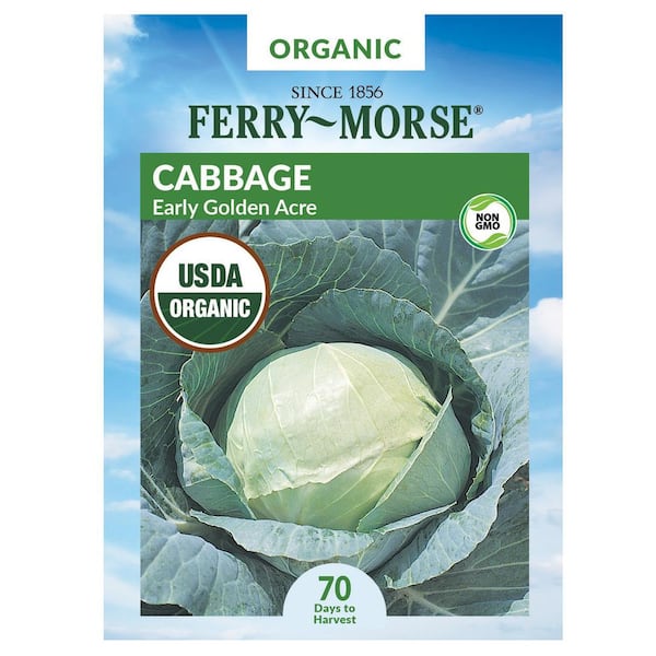 Organic Cabbage Early Golden Acre Vegetable Seed