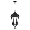 Livex Lighting Morgan 3 Light Textured Black Outdoor Pendant Lantern ...