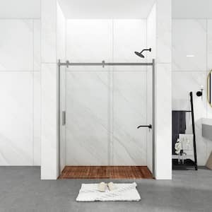 60 in. W x 74 in. H Single Sliding Frameless Shower Door in Chrome Finish with Clear Glass