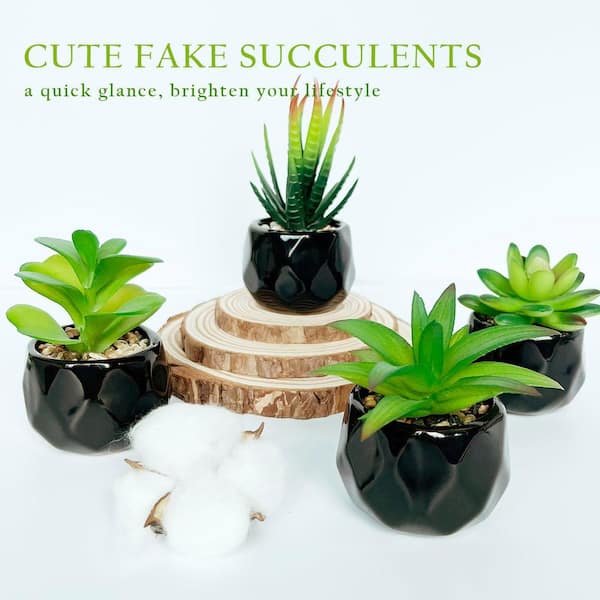 5.47 in. Black Ceramic Indoor Artificial Succulent Plant Set 4