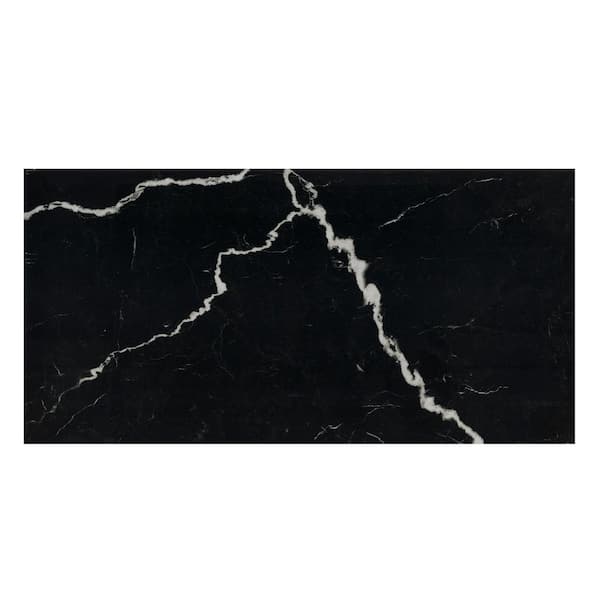 MSI Toucan Black 24 in. x 48 in. Polished Porcelain Marble Look