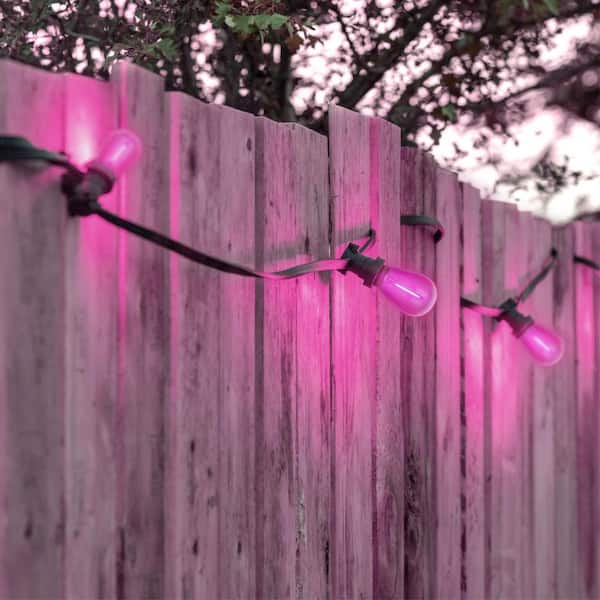 Westinghouse Lighting 40 Watt Equivalent Pink S14 Omni Filament