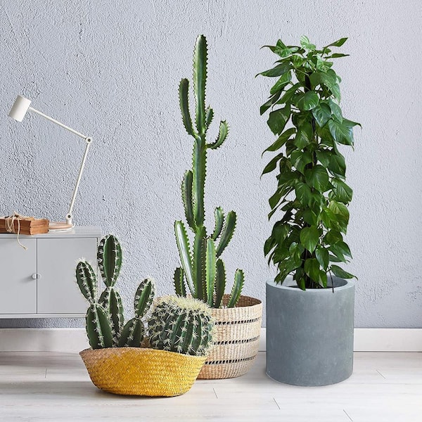 KANTE 15.8 in. W Round Charcoal Concrete/Fiberglass Indoor Outdoor Elegant Planter