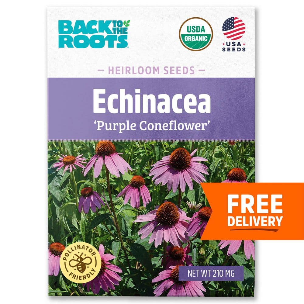 Back to the Roots Organic Purple Coneflower Echinacea Seed (1-Pack) 46092 -  The Home Depot