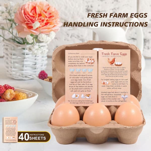 36 Pack) Vibrant Life Egg Cartons, Natural Pulp Paper Material, Holds 12 Eggs - View #5