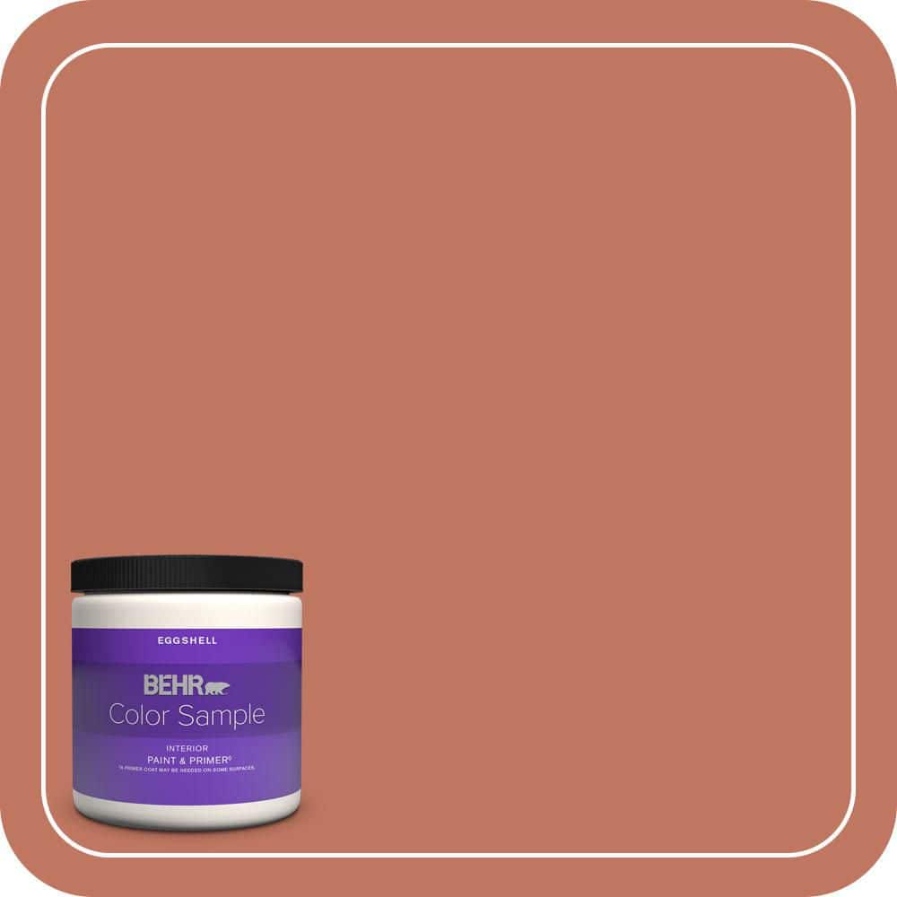 8 oz. #210D-6 Caribbean Coral Eggshell Enamel Interior Paint & Primer Color Sample price history on PriceWatchPro