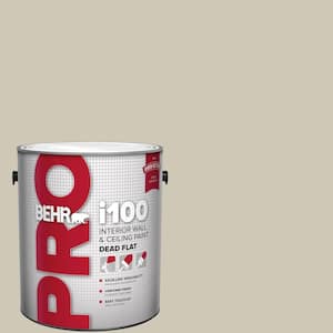 1 gal. #PPU8-16 Coliseum Marble Dead Flat Interior Paint