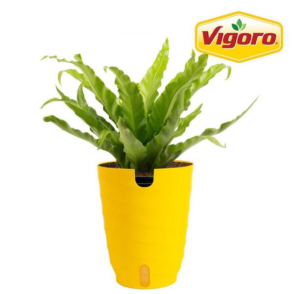 hanging basket plant stand Basket Hanger