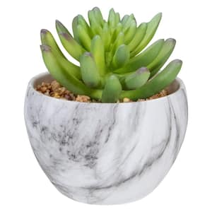 4.25 in. Green Artificial Succulent in Faux Marble Pot