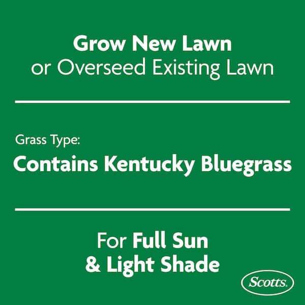 Turf Builder 5.6 lbs. Grass Seed Kentucky Bluegrass Mix with Fertilizer and Soil Improver, Grows Dense, Green Turf