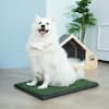 COZIWOW 25 in. x 20 in. Dog Mat Pee Turf CW12L0062 - The Home Depot