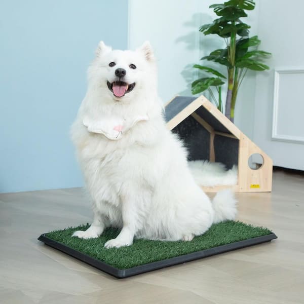 PETMAKER Artificial Grass Puppy Pad for Dogs and Small Pets ? India