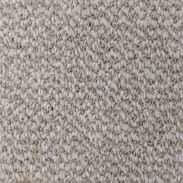Home Decorators Collection 8 in. x 8 in. Loop Carpet Sample - McDonald Street - Color Melody