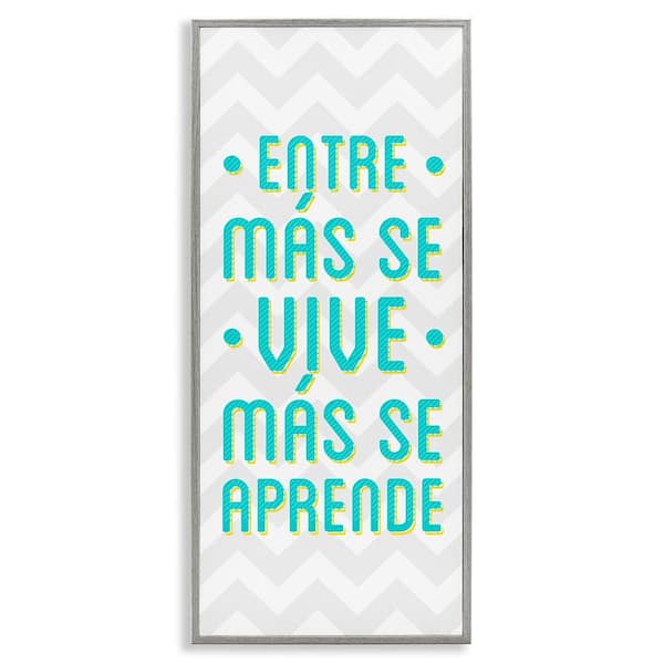 Stupell Industries You Live You Learn by SD Graphics Studio Gray Framed Typography Giclee Art Print 24 in. x 10 in.