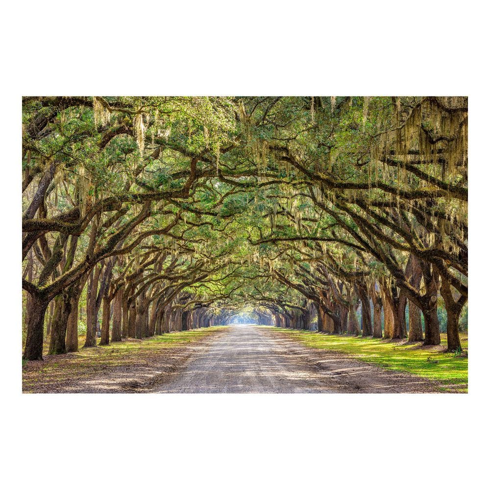 1 Piece Unframed Graphic Print Country Art Print 40 in. x 60 in. price history on PriceWatchPro