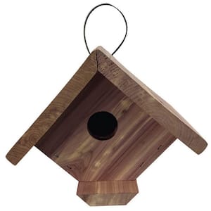 Bird House Wren (Set of 2)