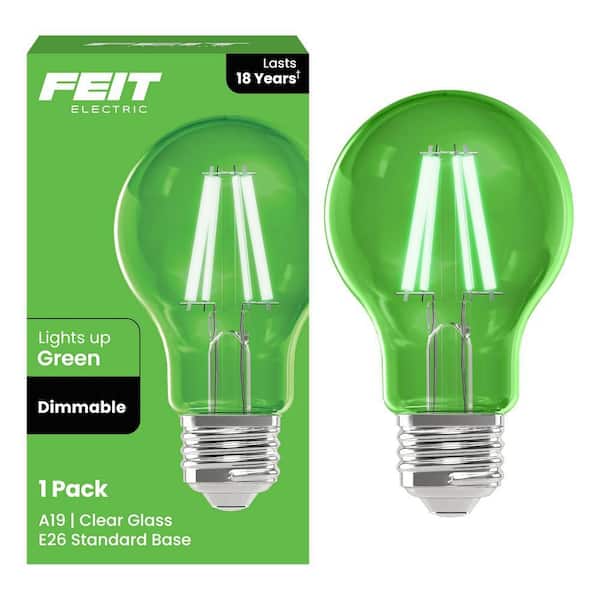 25-Watt Equivalent A19 Dimmable Filament Green Colored Glass E26 Medium Base LED Light Bulb (1-Pack)