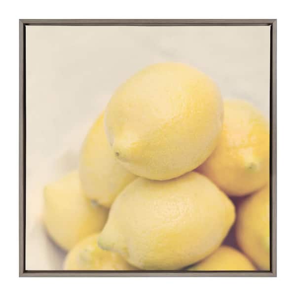 Kate and Laurel Sylvie "Lemons" by F2Images Framed Canvas Wall Art 30 in. x 30 in.