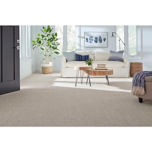 Northern Hills II Highland Grey 54 oz. Blend Texture Installed Carpet