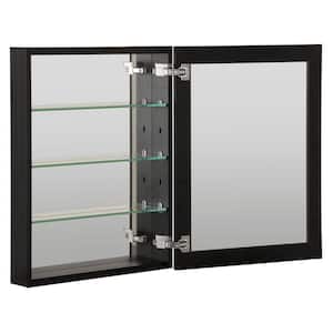 23 in. W x 30 in. H Black Glass Recessed/Surface Mount Rectangular Medicine Cabinet with Mirror