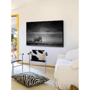 16 in. H x 24 in. W "Elephant" by Parvez Taj Printed Brushed Aluminum Wall Art