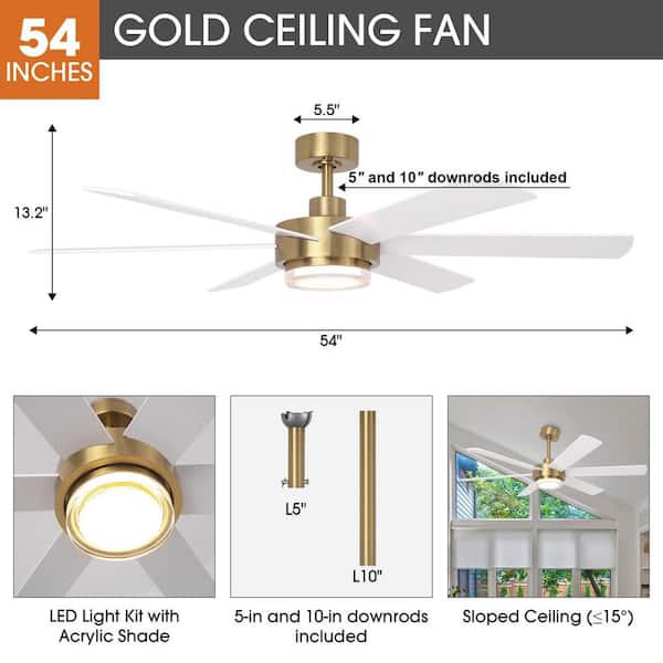 Parrot Uncle 54 in. Indoor Integrated LED Gold Dimmable