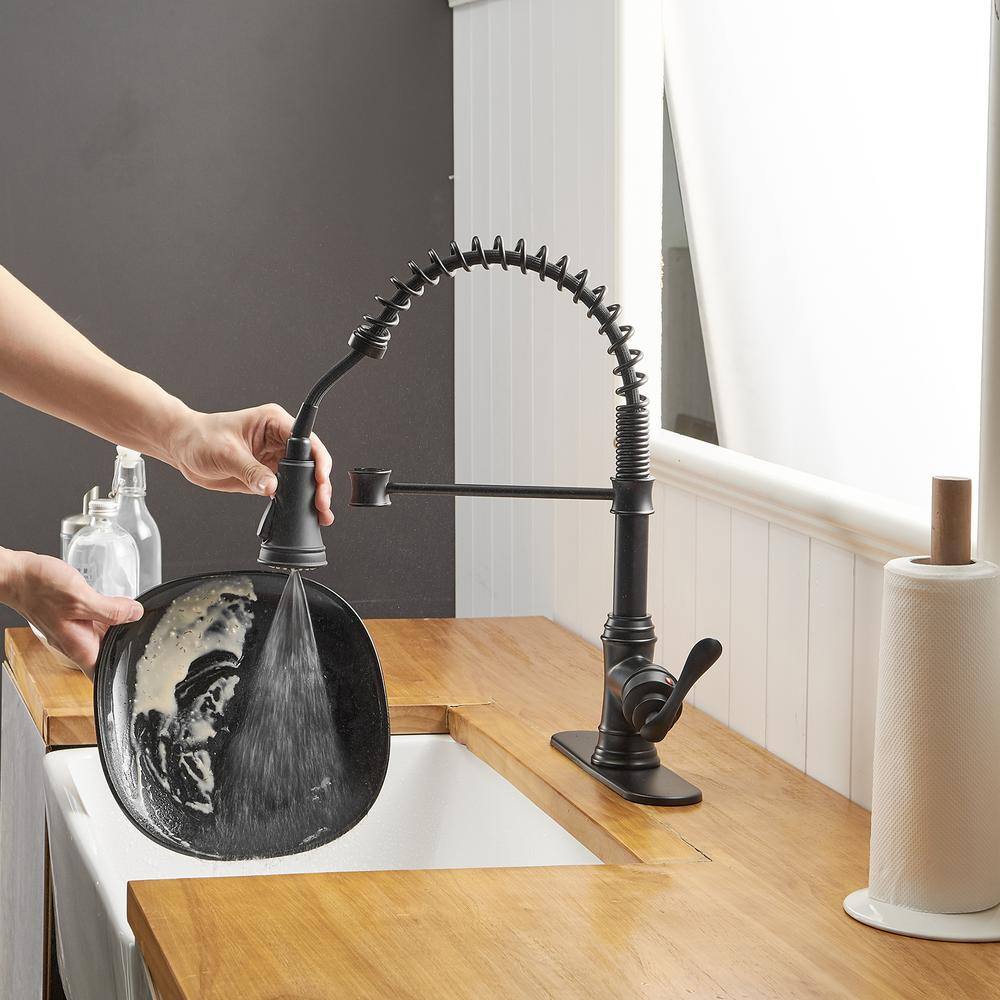 Matte Black Pull-Down Kitchen Faucet with Pull-out Spray