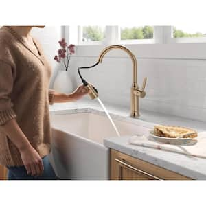 Renaldi Gold Single Handle Pull Down Sprayer Kitchen Faucet in Lumicoat Champagne Bronze