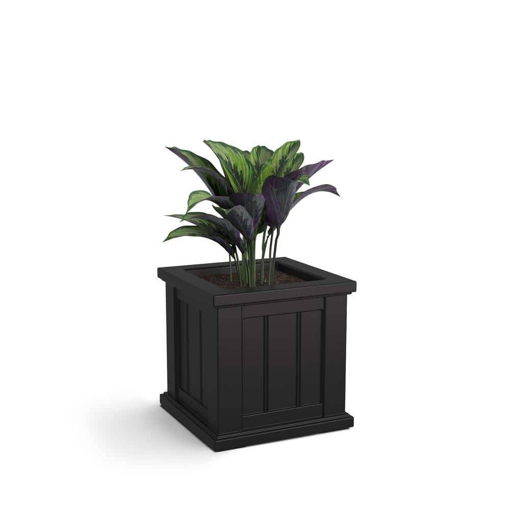 Cape Cod Black Polyethylene Self-Watering Outdoor Planter