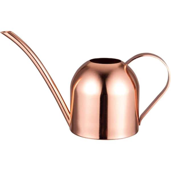 0.12 gal. Small Pink Stainless Steel Watering Can with Long Spout for House, Desk, Office Indoor Plants
