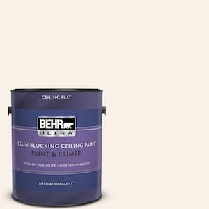 1 gal. #RD-W05 Moonlit Beach Ceiling Flat Interior Paint and Primer