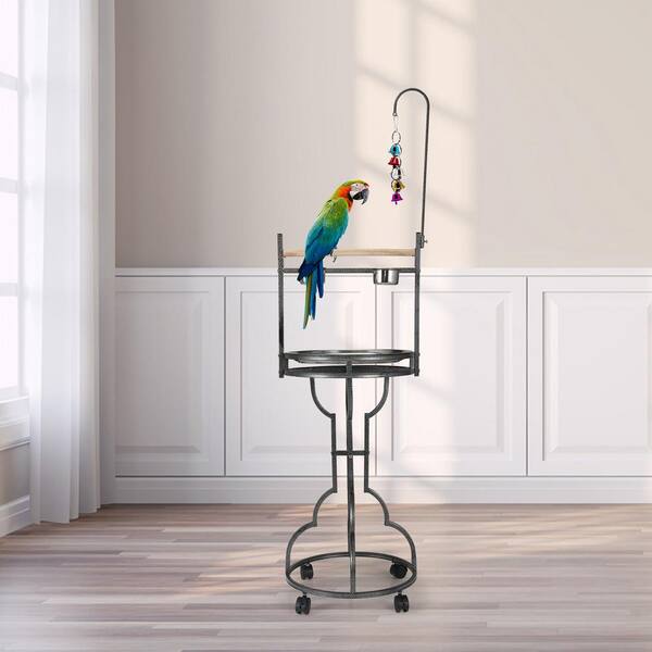Why Stock Parrot Perches?